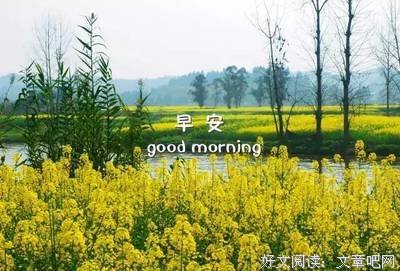 关于会呼吸的痛的优美句子