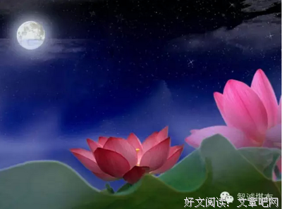 一句好人西的生个说大句子大全