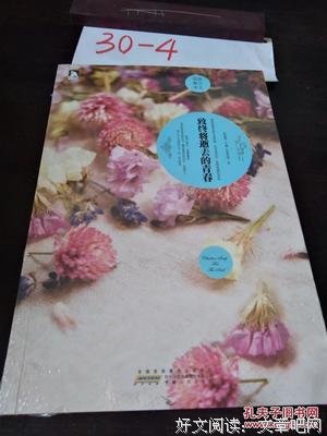 致我们终学着夫逝去的青春优美的句子