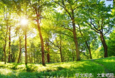 唯美.、好词好句