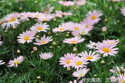 最新的Bernard Shaw名言