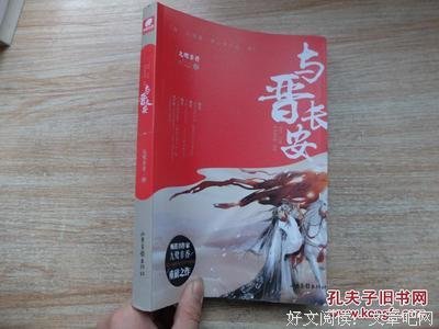 最全的《与晋长安》经典句子