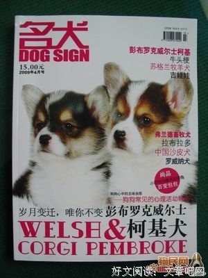 《系统的笤帚》读后感精选