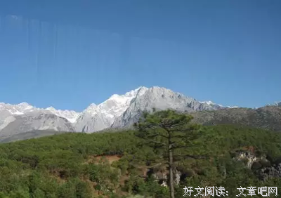 《小小的大大的树》读后感精选