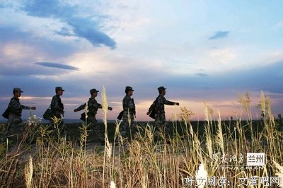 《这里》读后感精选