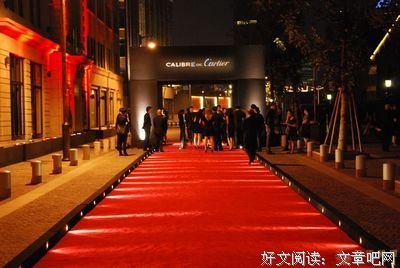 《平原客》读后感锦集