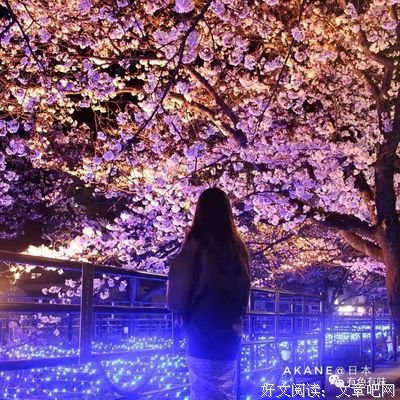 成瘾读后感100字