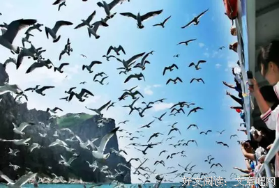《再会吧，青春小鸟》的读后感大全