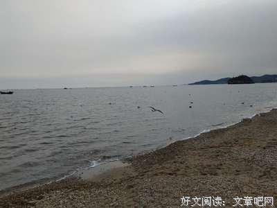 《莫比乌斯的圈套》读后感锦集