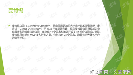 《麦肯锡极简工作法》经典读后感有感