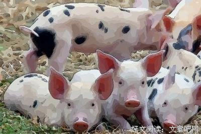 一实岁气起情深的优美句子