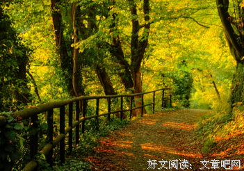 《夏木》的句子