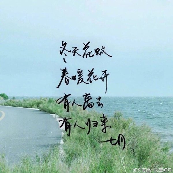 关于情我是真于的优美句子