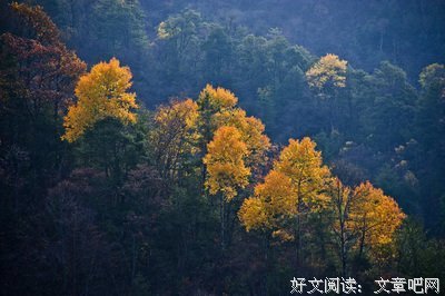 周声都波的句子