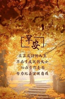 如意的优美句子