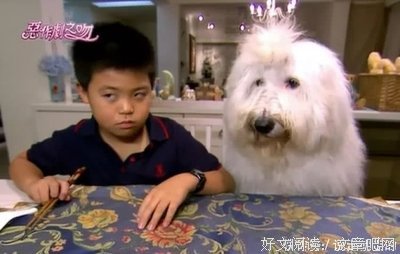 恶作剧2吻经典的句子