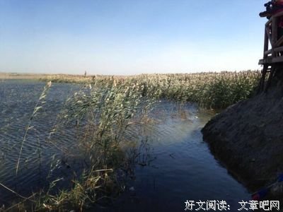 有关一顾知何的名言