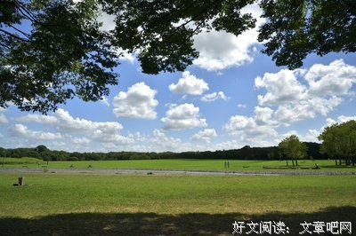 《东京日和》电影台词