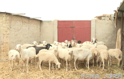 《越过天城》的影评大全