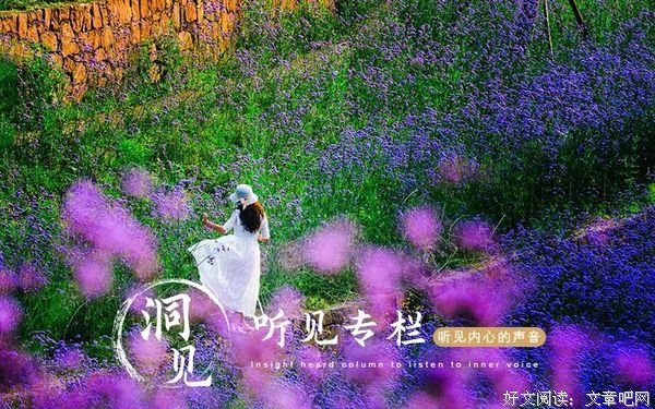 等到春风吹起，我在花下等你