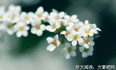 ^其们到 -人却作后好^………的优美句子