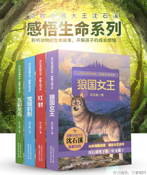 最经典的《五彩龙鸟》语录摘抄大全