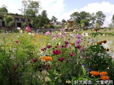 最全的《仇池笔记》经典的句子