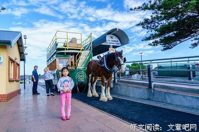 最新的《今夜离港》名句欣赏大全