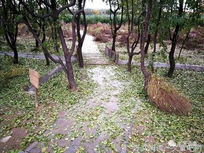 《谁为失去故土的人安魂》的读后感大全