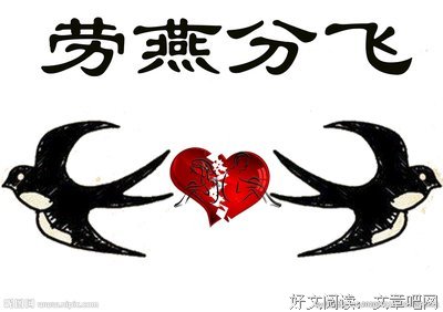 《劳燕》经典读后感有感