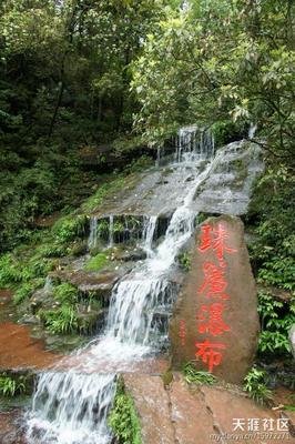 上流法则读后感100字