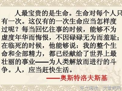 《羞耻帖》读后感精选