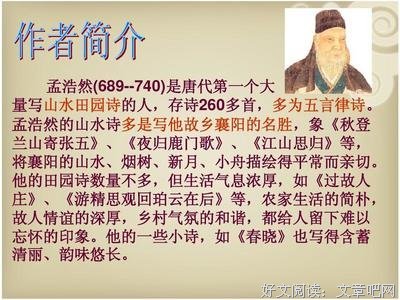 《田园诗与狂想曲》读后感精选