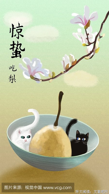 惊蛰的读后感大全