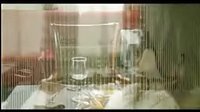 《一代骄马》经典观后感1000字
