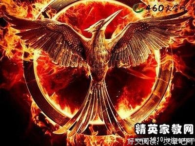 高效休息法：世界精英这样放松大脑（音频体验版）读后感100字