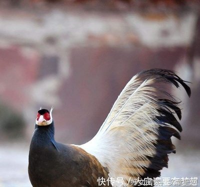 《军人机密》经典观后感1000字