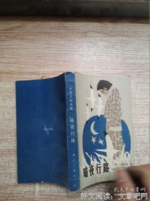 暗夜行路读后感锦集