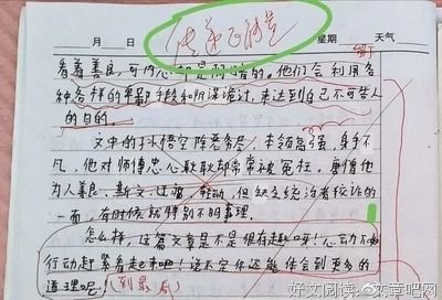 陌生人溺水的读后感大全