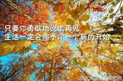 情缘深浅的优美句子