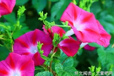 嬉过国开怒骂经典的句子