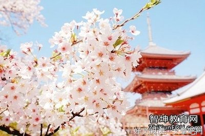 唯美风景的优美句子