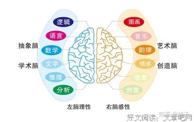 《天才源自刻意练习》读后感锦集
