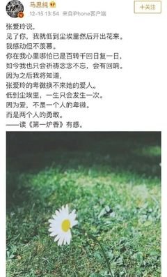 丢掉玻璃心：别让坏情绪控制了你读后感锦集