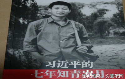 岁月向暖读后感1000字