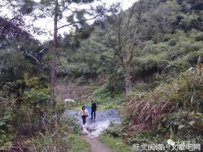 守望的距离经典读后感有感
