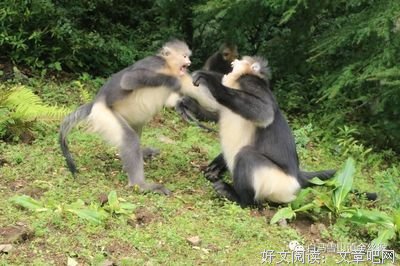 《高难度谈话Ⅱ》读后感精选
