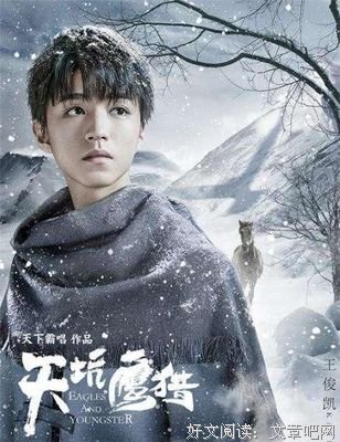 阿麦从军：全新修订版读后感锦集