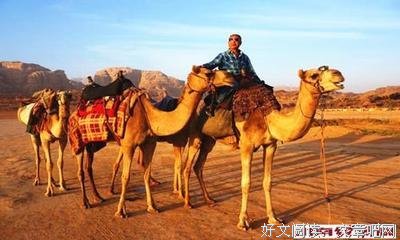关于地老天荒的名言