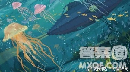 《海葵》读后感100字